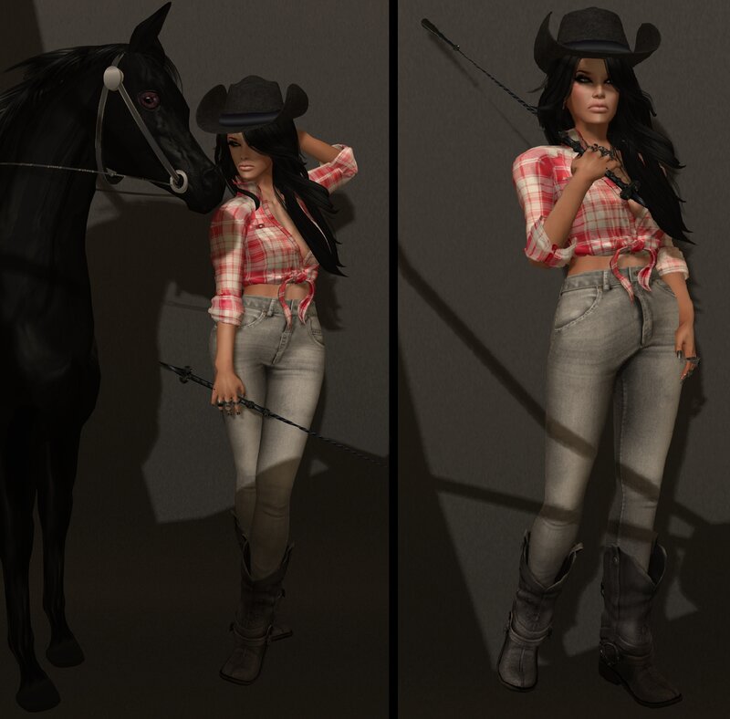 Woman with Black Horse — Gray