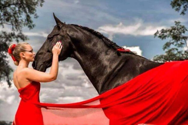Woman with Black Horse — Red, Dramatic, Afternoon