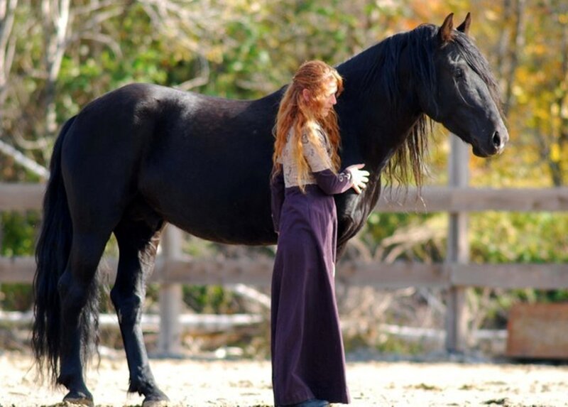 Woman with Black Horse — Serene