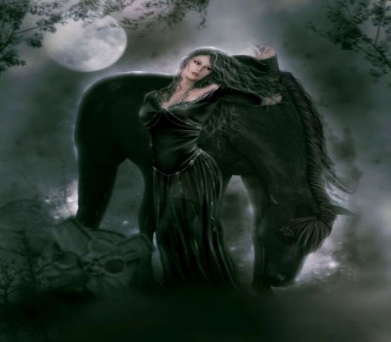 woman with black horse under moonlight