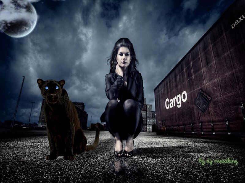Woman with Black Panther — Dramatic, Night, Digital Art, Cargo Container