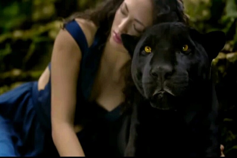Woman with Black Panther — Serene