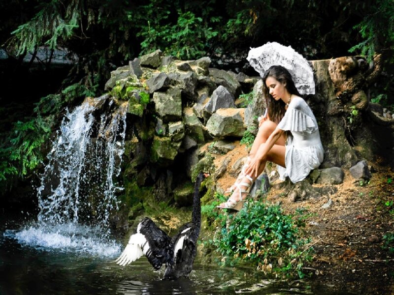 Woman with Black Swan — Green