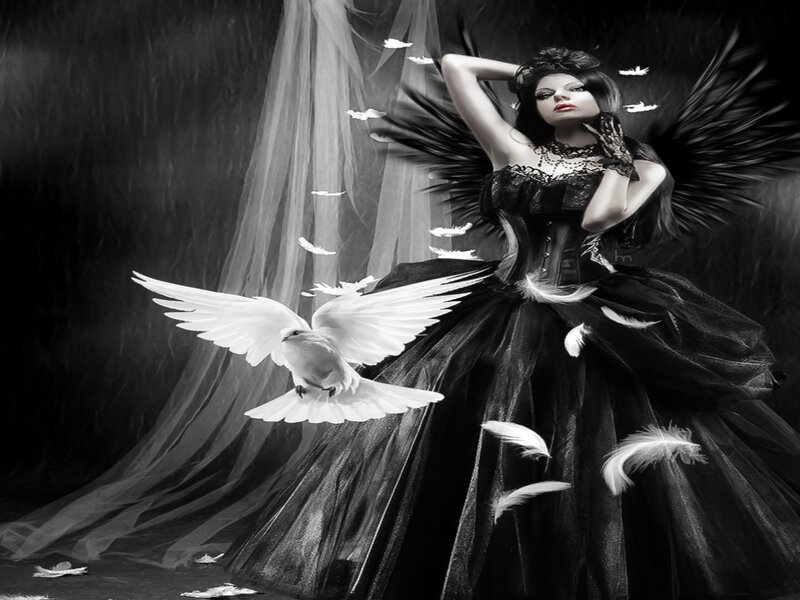 Woman with Black Wings — Dramatic, Digital Art, Dove