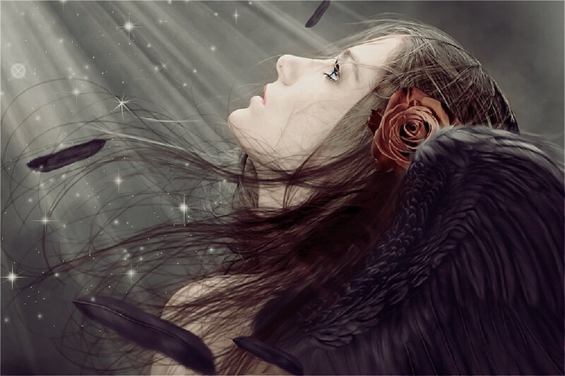 Woman with Black Wings — Dramatic, Digital Art, Feathers, Rose
