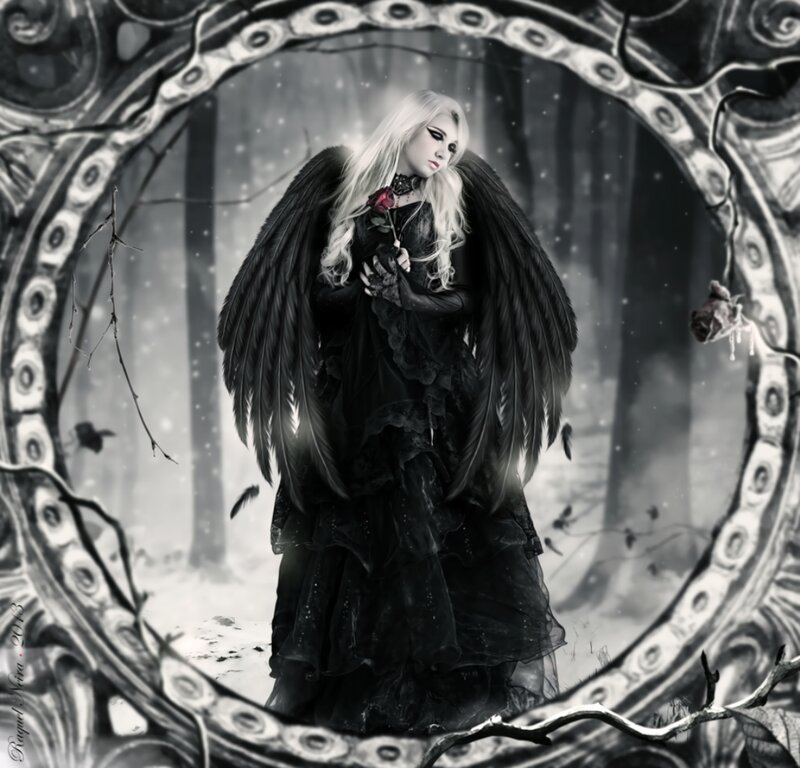 Woman with Black Wings — Dramatic, Winter, Digital Art, Rose