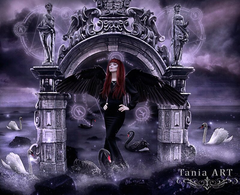 Woman with Black Wings — Purple, Dramatic, Night, Digital Art, Swans