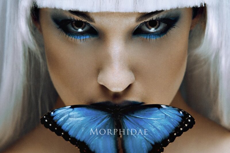 Woman with Blue Butterfly — Dramatic, Photograph, White Hair