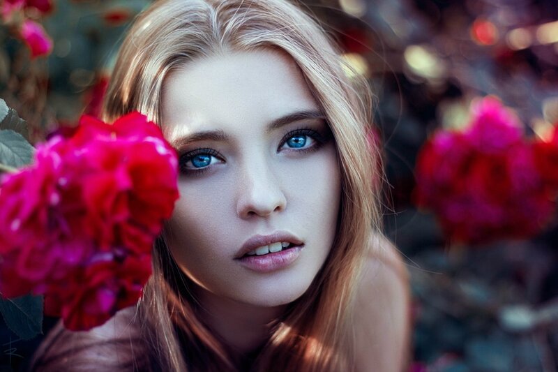 Woman with Blue Eyes — Dramatic, Photograph, Red Rose