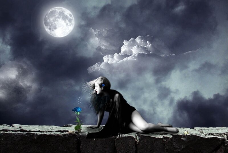 Woman with Blue Rose