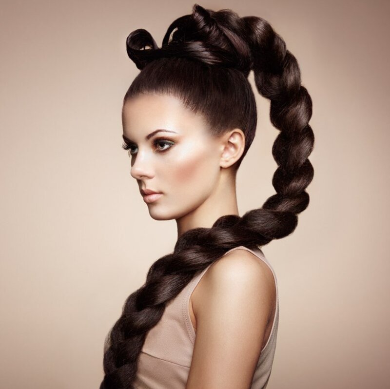 Woman with Braided Hairstyle — Brown, Dramatic