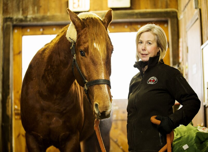 Woman with Brown Horse — Calm, Photograph