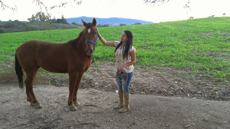 Woman with Brown Horse — Calm