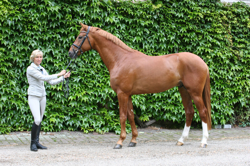 Woman with Brown Horse