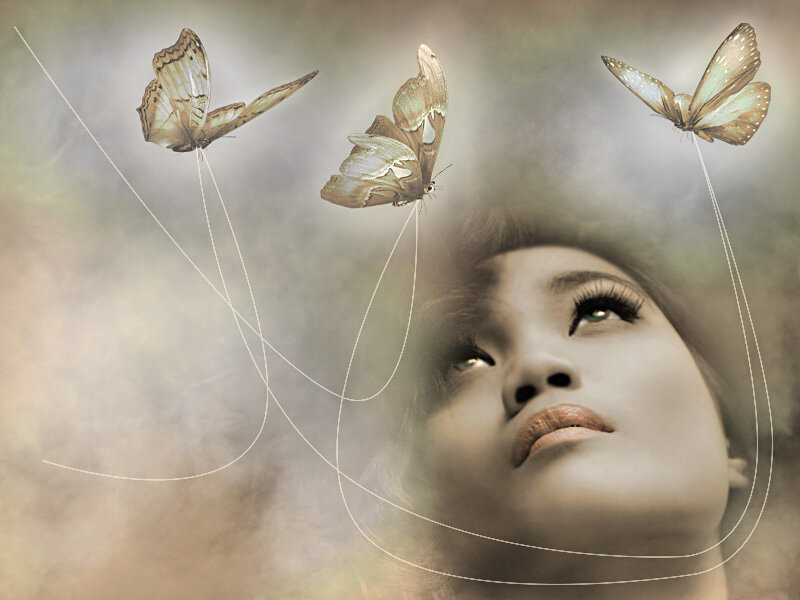 Woman with Butterflies — Brown, Dreamy