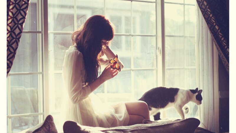 woman with butterfly and cat