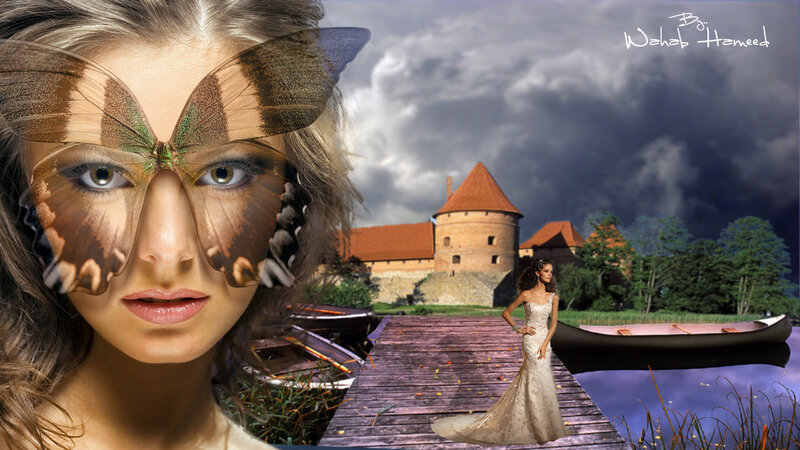 Woman with Butterfly Mask — Brown, Dramatic