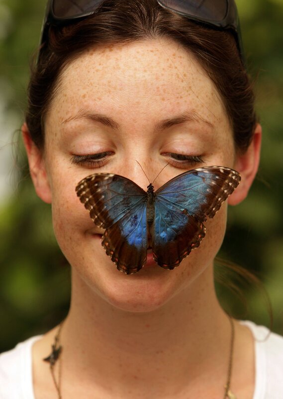 Woman with butterfly on face