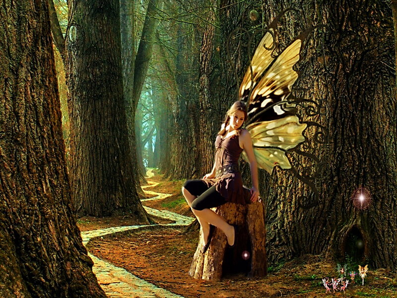Woman with Butterfly Wings — Brown, Serene