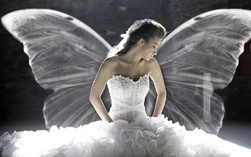 Woman with Butterfly Wings — White, Dramatic, Photograph