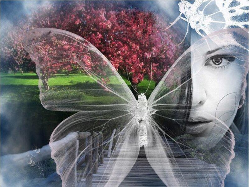 Woman with Butterfly Wings — White, Dreamy, Spring