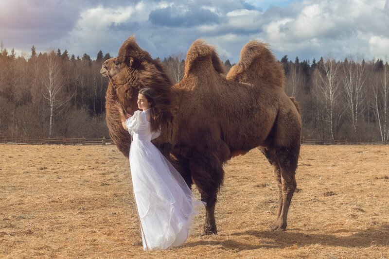 Woman with Camel — Brown