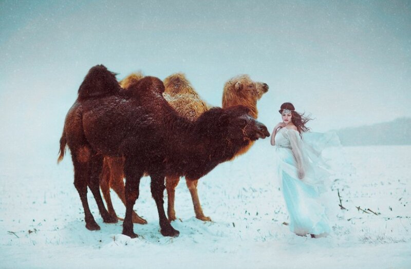Woman with Camels in Snow
