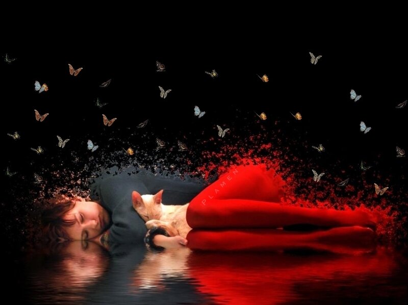 woman with cat and butterflies