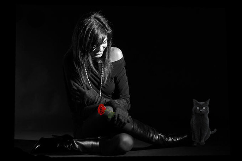 woman with cat and rose