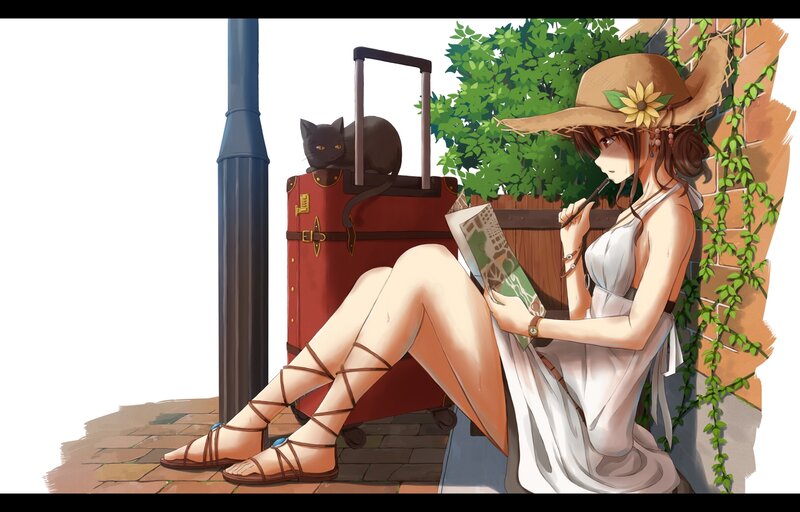 Woman with Cat and Suitcase