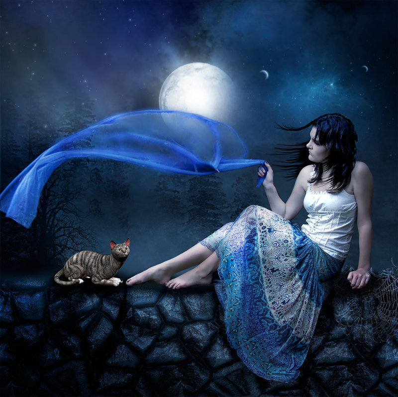 Woman with Cat at Night