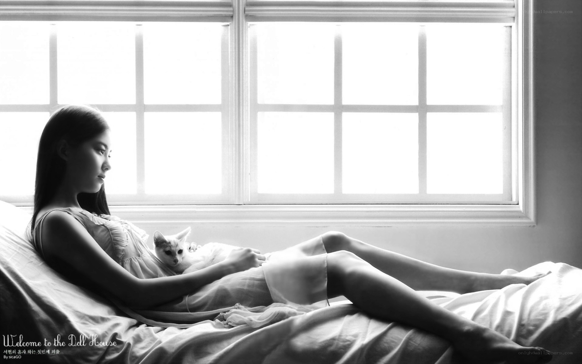 woman with cat by window