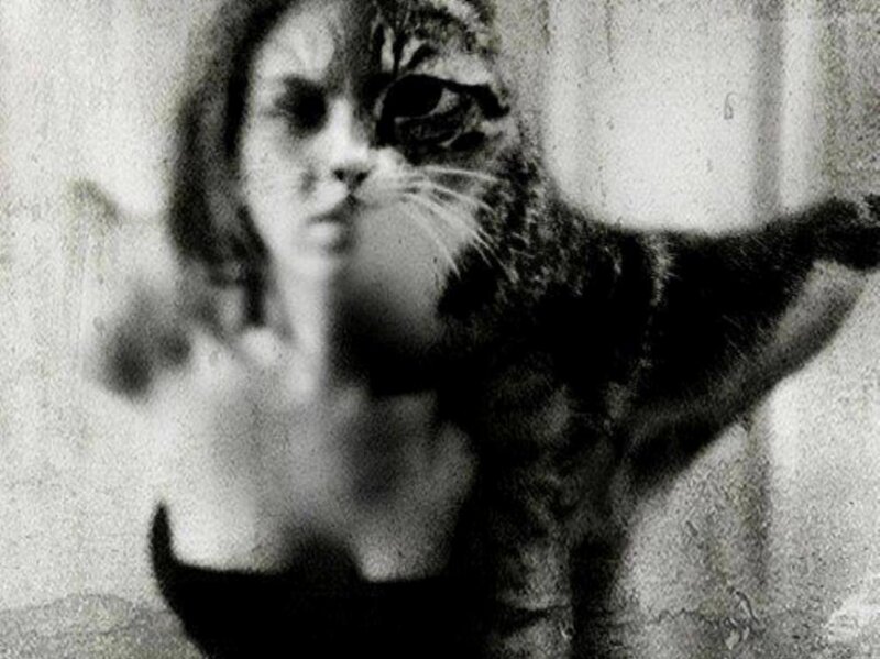 Woman with Cat Face — Black, Distorted