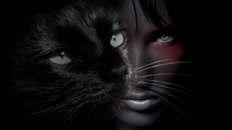 Woman with Cat Face — Black, Dramatic, Night, Digital Art
