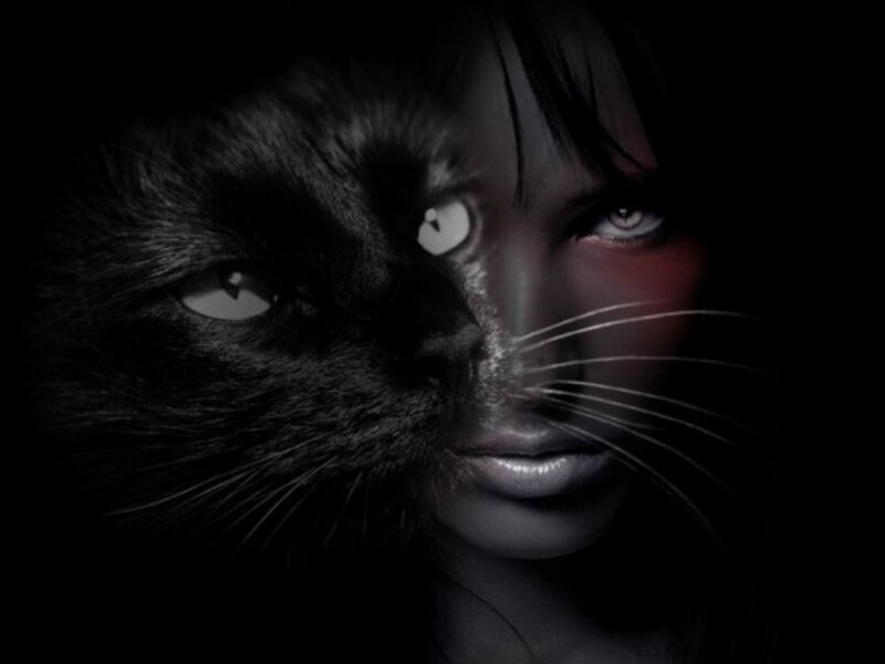 Woman with Cat Face — Black, Dramatic, Night