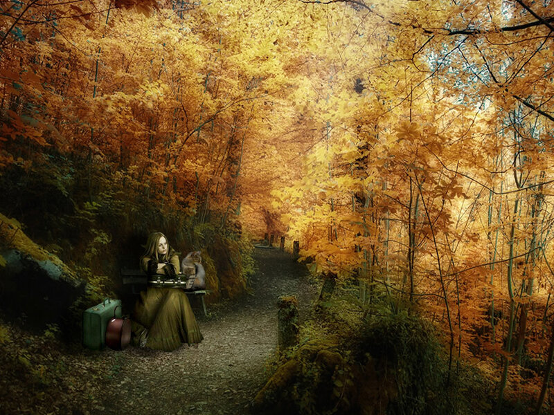 Woman with Cat in Forest — Orange