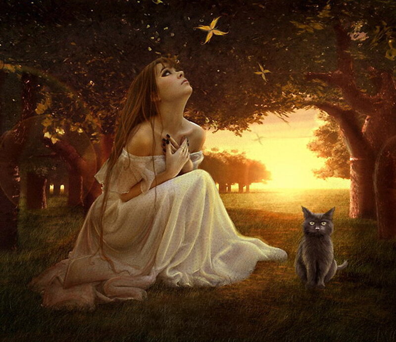 woman with cat in sunset