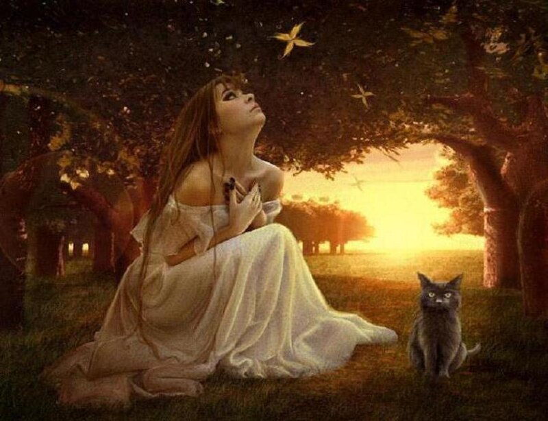 woman with cat in sunset