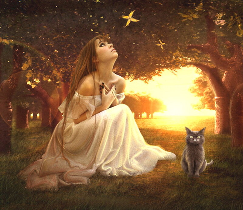 woman with cat in sunset