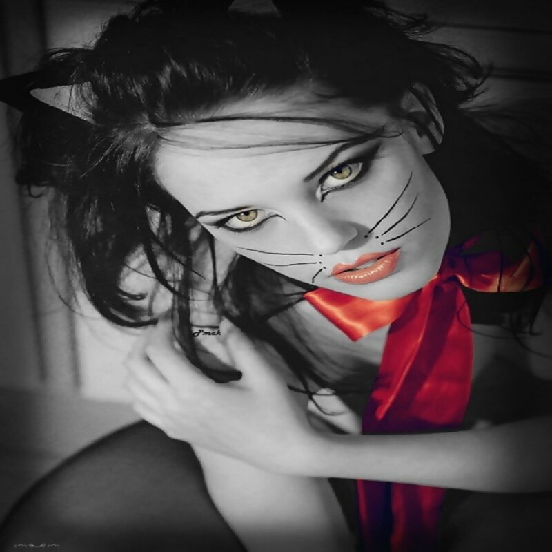 Woman with Cat Makeup — Black, Dramatic