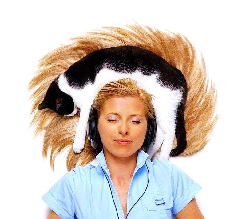 woman with cat on head
