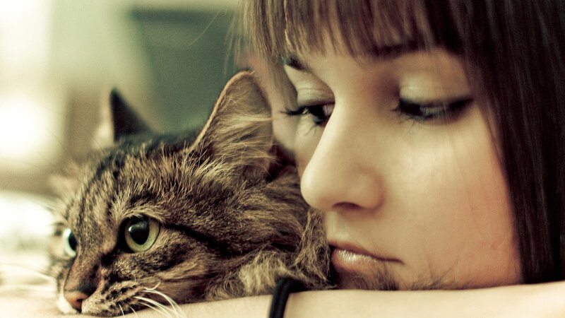 woman with cat on her arm