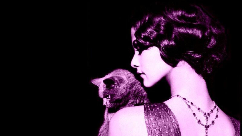 Woman with Cat — Purple