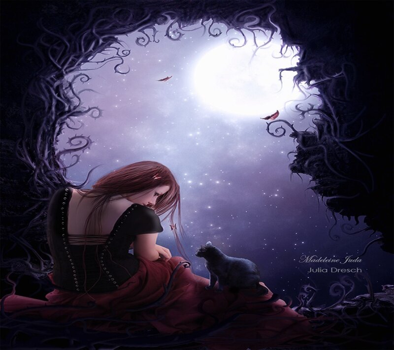 woman with cat under moonlight