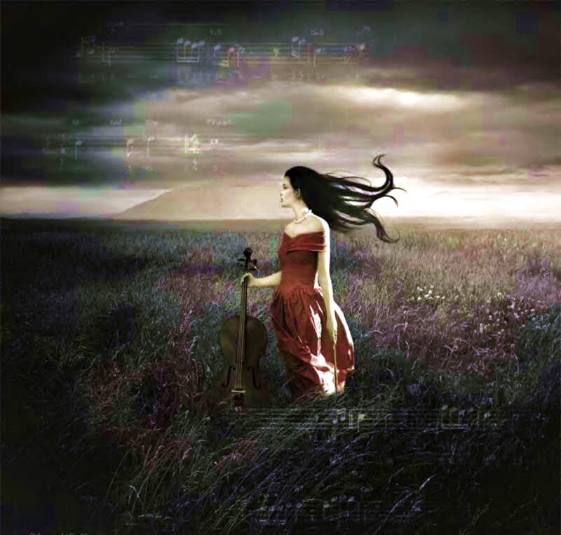 Woman with cello in a field