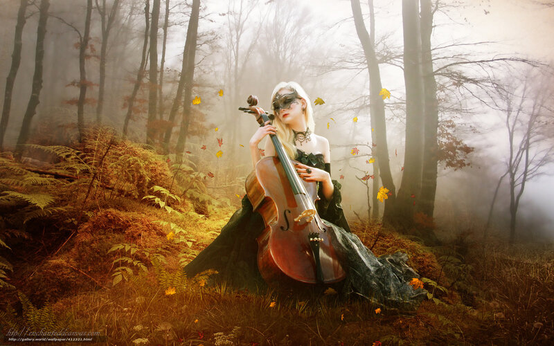 Woman with cello in misty forest