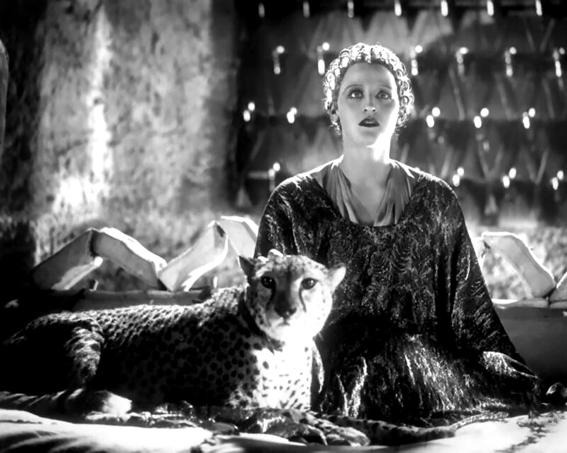 Woman with Cheetah — Black, Dramatic