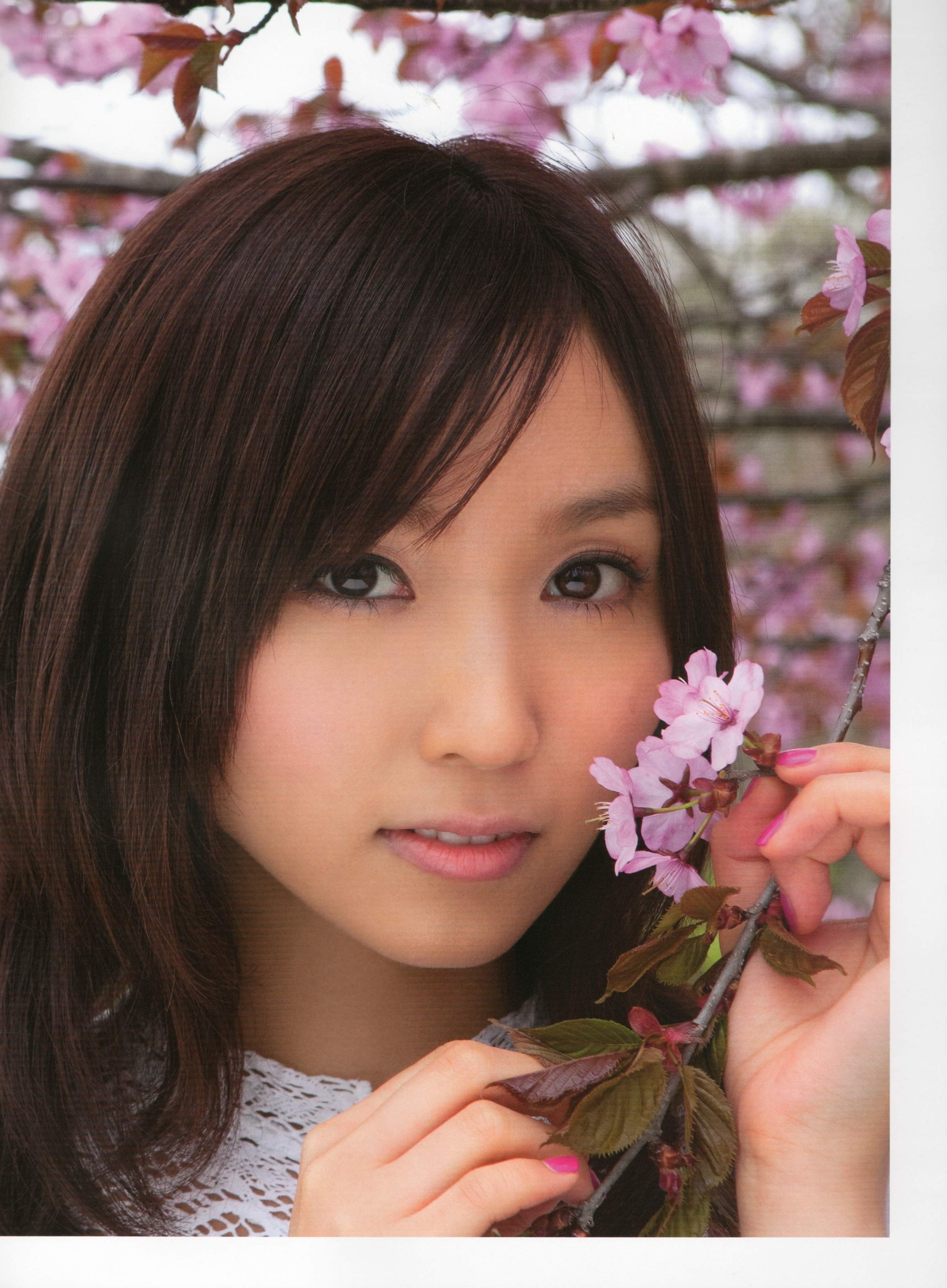 woman with cherry blossoms