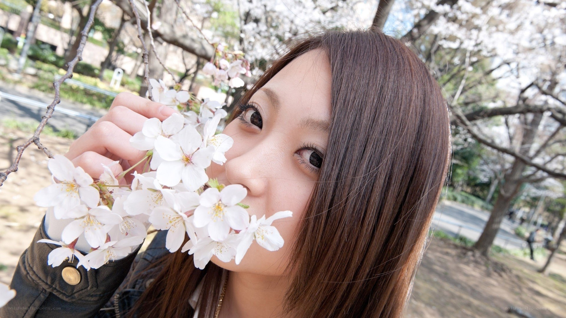 woman with cherry blossoms