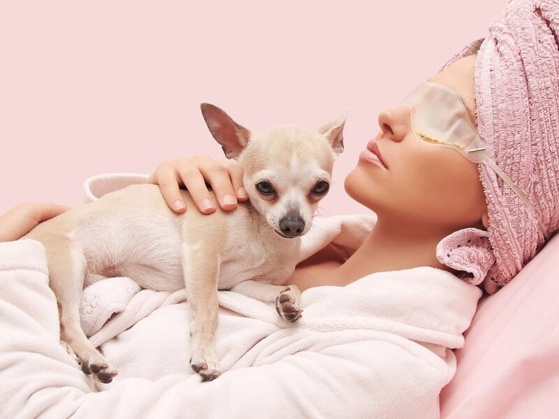 Woman with Chihuahua — Pink